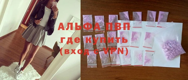 мдпв Весьегонск
