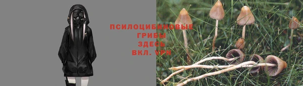 амфетамин Апатиты