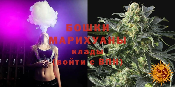 ГАЛЛЮЦИНОГЕННЫЕ ГРИБЫ Видное