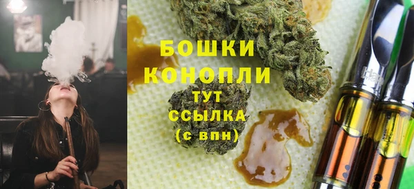 мдпв Весьегонск