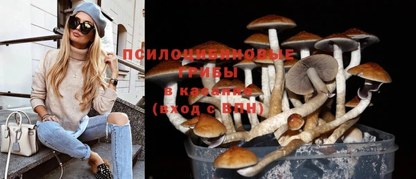 ГАЛЛЮЦИНОГЕННЫЕ ГРИБЫ Видное