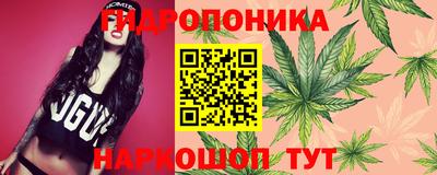 эйфоретик Бузулук