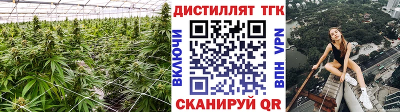 где найти Скопин blacksprut маркетплейс ТГК Wax