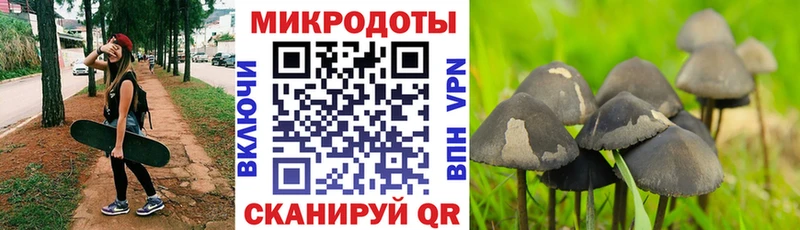 Галлюциногенные грибы мицелий  Скопин 
