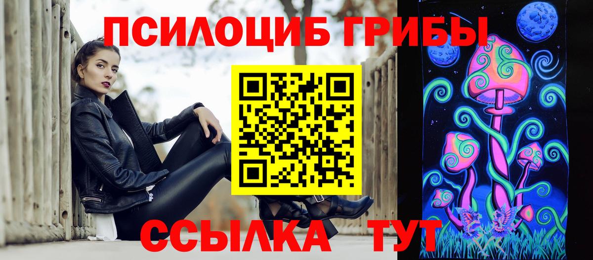 Псилоцибиновые грибы Psilocybe Скопин