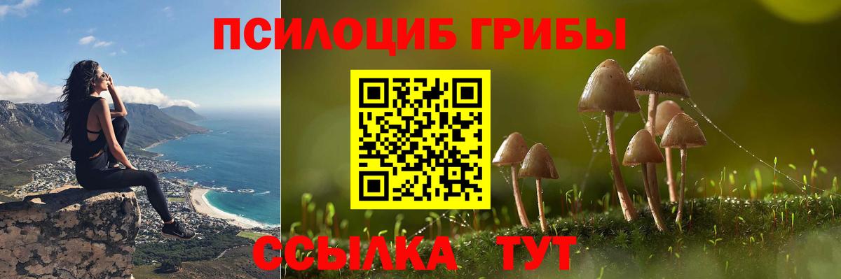Галлюциногенные грибы мухоморы  Псилоцибиновые грибы Psilocybine cubensis  Скопин  Вход с VPN 
